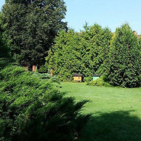 Kwiatowa Zagroda Białowieża Buitenkant foto