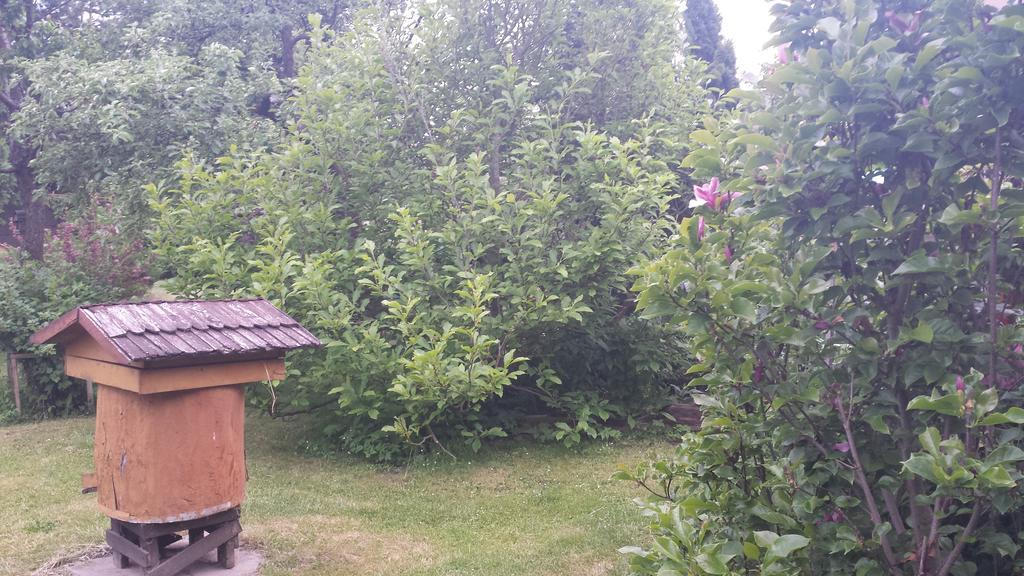Kwiatowa Zagroda Białowieża Buitenkant foto