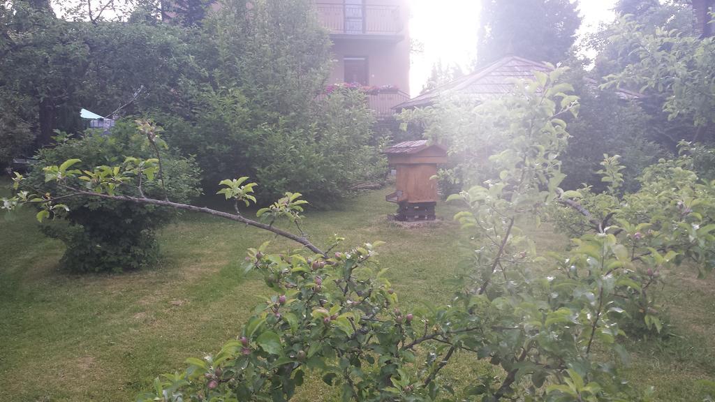Kwiatowa Zagroda Białowieża Buitenkant foto