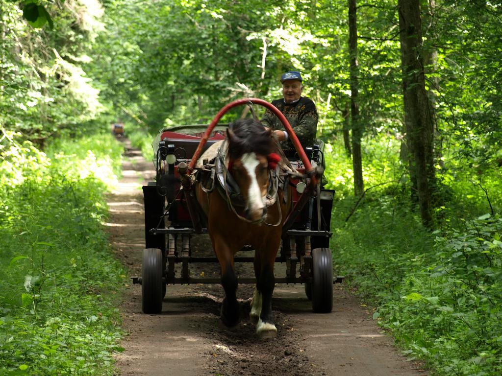 Kwiatowa Zagroda Białowieża Buitenkant foto