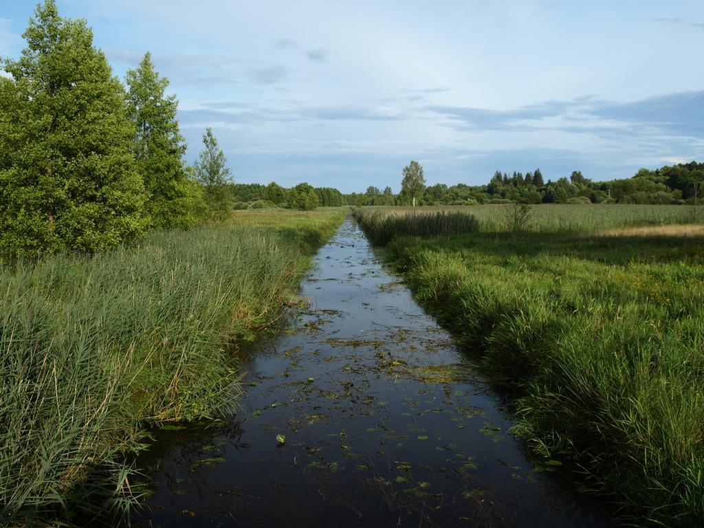 Kwiatowa Zagroda Białowieża Buitenkant foto