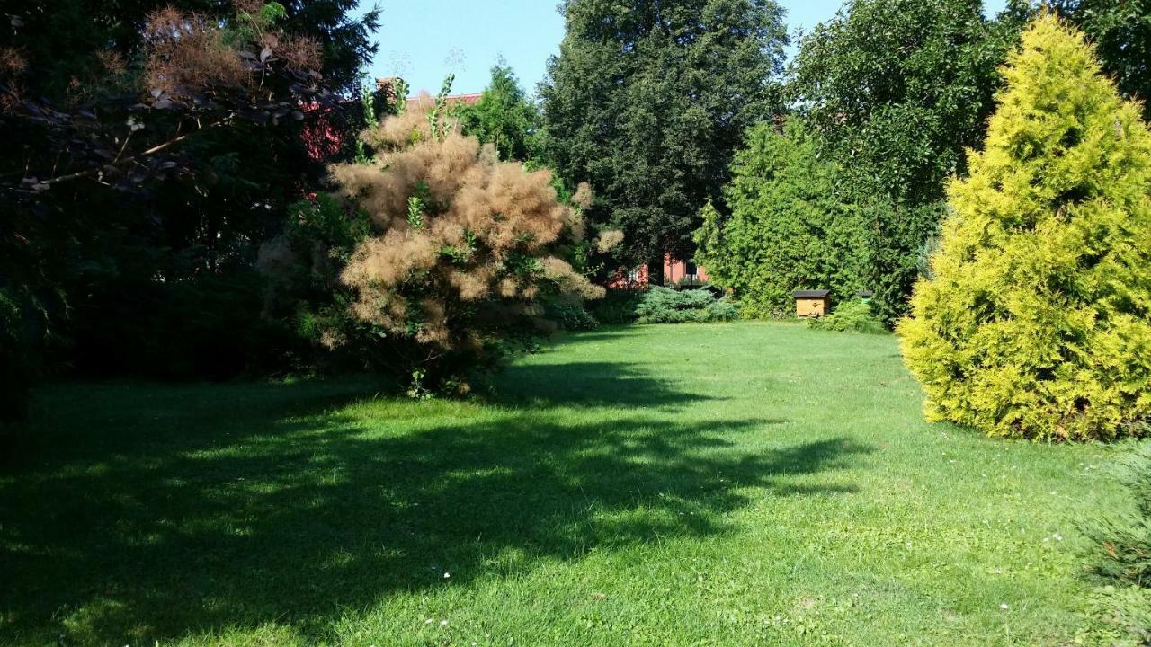 Kwiatowa Zagroda Białowieża Buitenkant foto