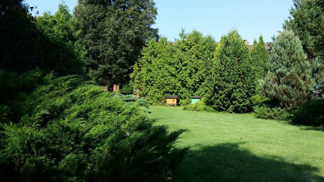 Kwiatowa Zagroda Białowieża Buitenkant foto